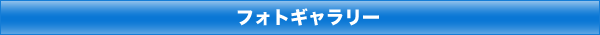 BN-Photo.png