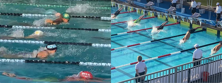 swimming2025.jpg