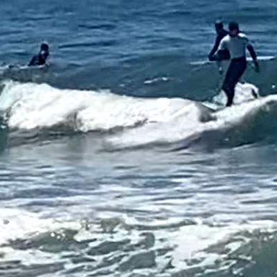 カリフォルニアでサーフィンレッスン