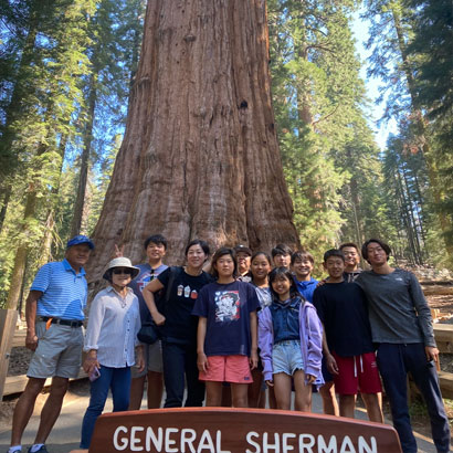 big-Sequoia8.jpg